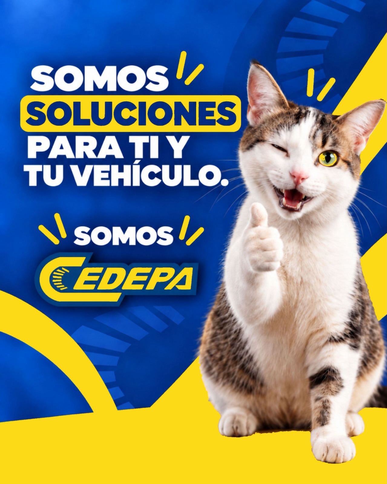 ▶️ ¡Comprar tus autopartes de calidad nunca había sido tan fácil! ¡Y si lo dice MAX 🐱 es poque hay muchas pruebas, cero dudas 😎🚘!
Sin complicarte. Sin tener que venir hasta nuestros locales. Y con la asesoría de nuestro equipo para encontrar la opción adecuada para tu vehículo 👌🏻.
¿Necesitas una autoparte? Hazle caso a Max 😸👇
Escríbenos por WhatsApp
📲 0995541378
¡#SomosCedepa… brindarte soluciones para ti y tu vehículo es nuestra pasión 💪🏼!
#CedepaEsGarantía #AutopartesManta #RepuestosManta #RepuestosEcuador